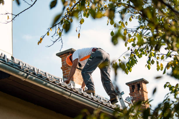 Best Flat Roof Repair Services  in Moville, IA