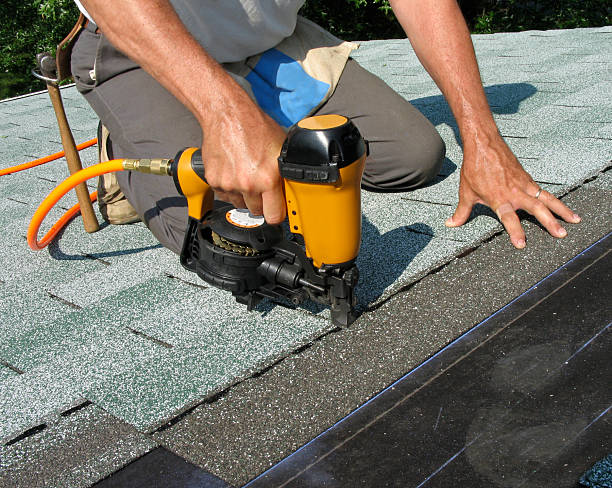 Best Roof Gutter Cleaning  in Moville, IA