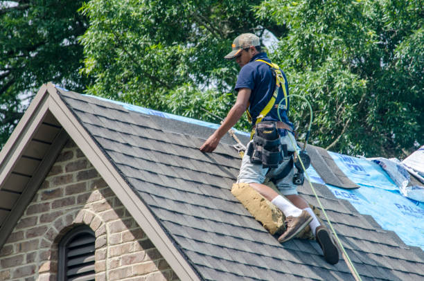 Best Shingle Roofing Installation  in Moville, IA